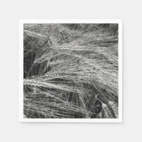 Gerstenohren (Hordeum vulgare)