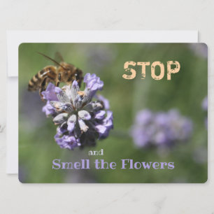 Geruchssorgen von Blume stoppen
