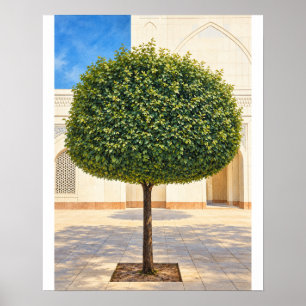 Gerundete Topiary-Baum 16x20 ungerahmter Kunstdruc Poster