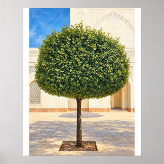 Gerundete Topiary-Baum 16x20 ungerahmter Kunstdruc Poster