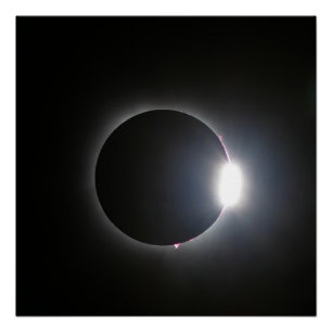 Gesamtes Solarelien 8. April 2024 Poster