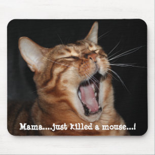 Gesang-bengalische Katze "Mutter… tötete gerade Mousepad