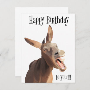 Gesang Donkey - Happy Birthday To You!!