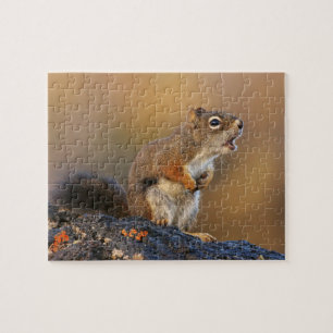 Gesang-Eichhörnchen Puzzle