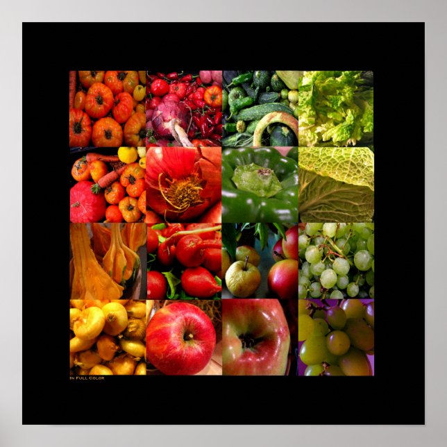 gescannt poster (Vorne)