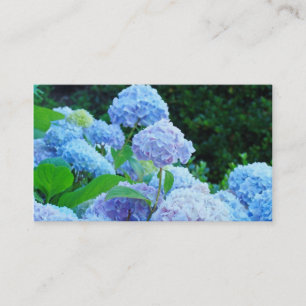 Geschäfts-Kartenblaue Hydrangea-Blumen mit Blumen Visitenkarte