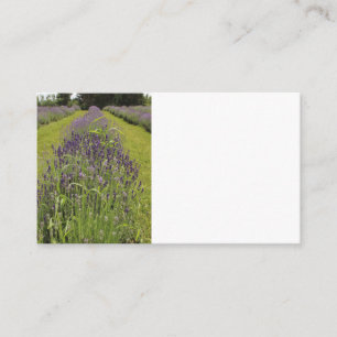 Geschäftskarten von Seafoam Lavender Farm Visitenkarte