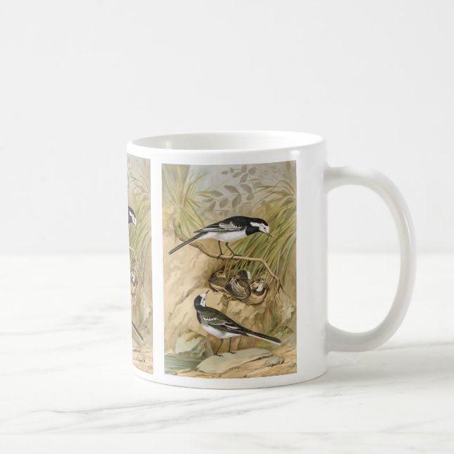 Gescheckter Wagtail-Vintage Vogel-Illustration Kaffeetasse (Rechts)
