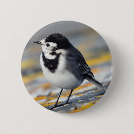 Geschecktes Wagtail-Abzeichen Button