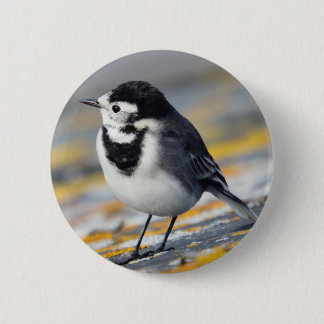 Geschecktes Wagtail-Abzeichen Button