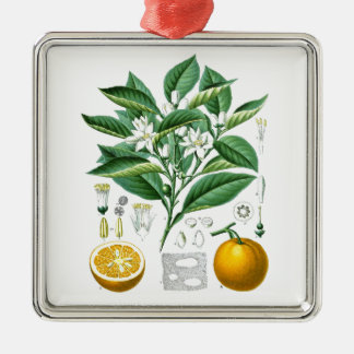 Geschenk der Zitrusfrucht-botanisches Illustration Ornament Aus Metall