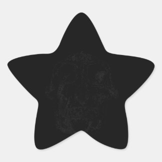 Geschenk des Neanderthaler Schädelanthropologen Stern-Aufkleber