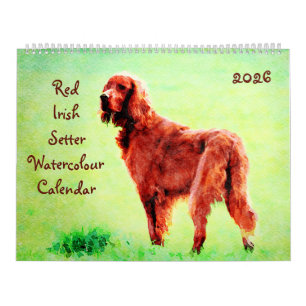 Geschenk für den Besitzer der Rasse Irische Setter Kalender