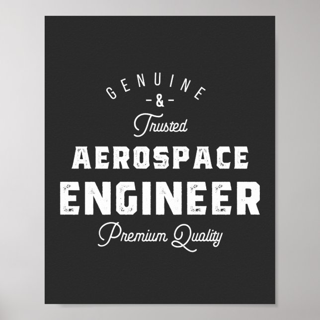 Geschenk für den Luftfahrtingenieur Poster (Vorne)