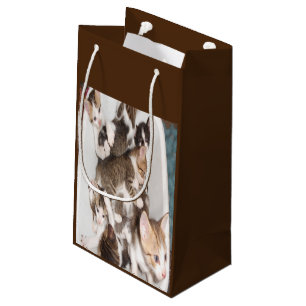 Geschenk für Katzen Kleine Geschenktüte