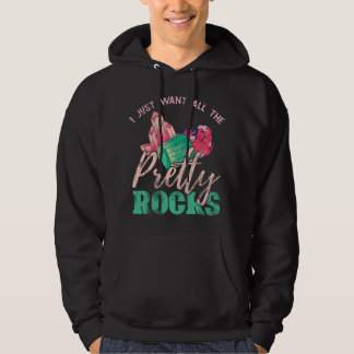 Geschenk für Steinesammler Erdpaleontologe Lustig  Hoodie