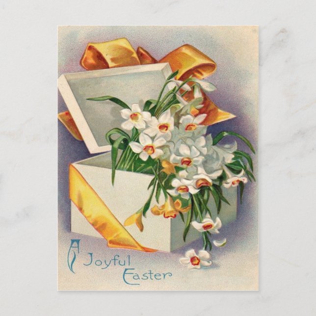 Geschenk Gegenwart Daffodil Jonquil Postkarte (Vorderseite)