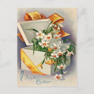 Geschenk Osterglocke Jonquille Postkarte