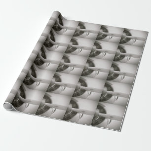Geschenk-Packpapier des Flugzeugpropeller-B&W Geschenkpapier