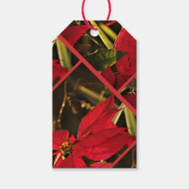Geschenk Tag Poinsettia Weihnachtsfeiertag Geschenkanhänger