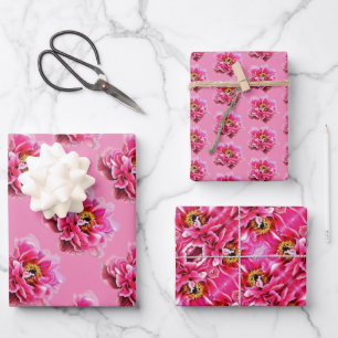 Geschenk Wrap Papier rosa Peonies.