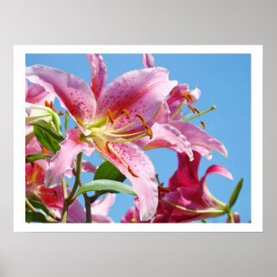Geschenke Art Prints Lily Blume Blue Sky Floral Poster