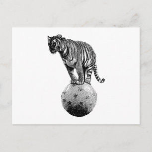 Geschenke aus dem alten Zirkus Tiger Postkarte
