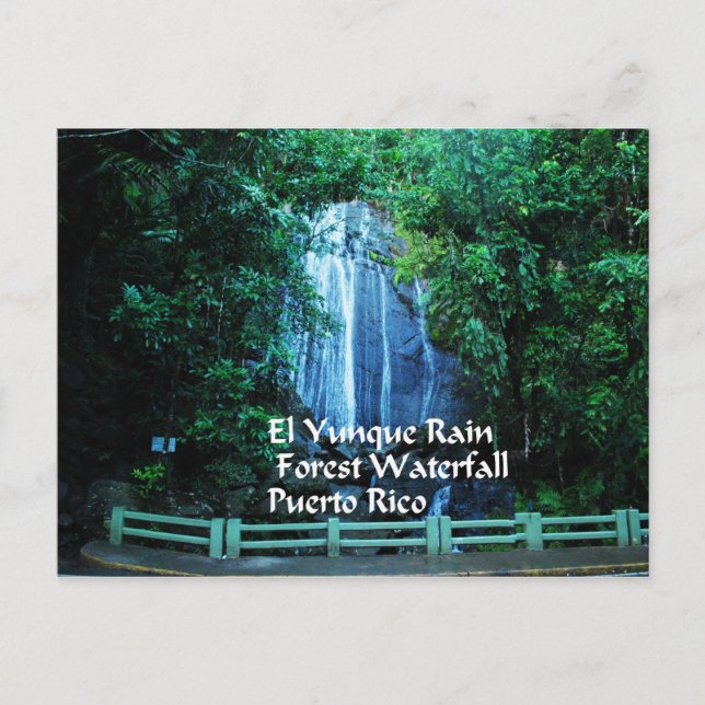 Geschenke aus der Karibik Postkarte (Vorderseite)