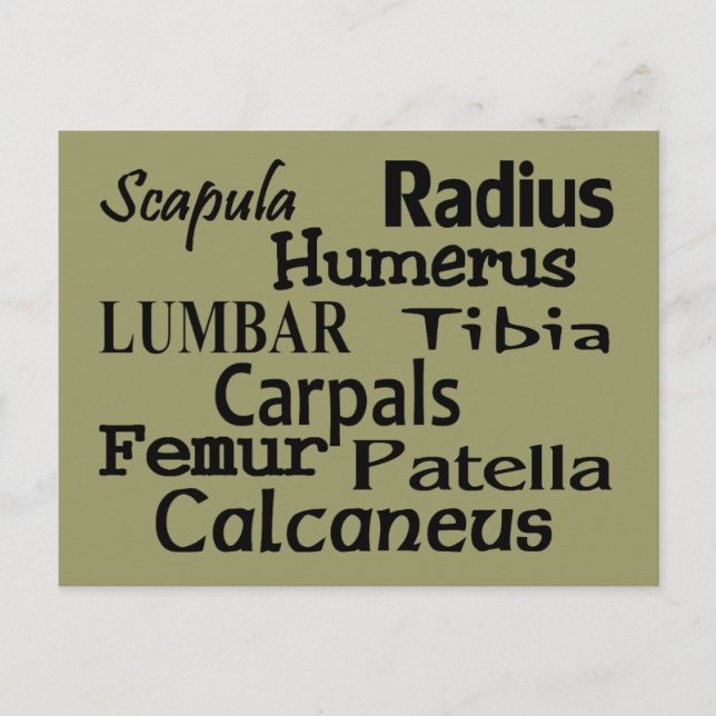 Geschenke für Orthopädie Postkarte (Vorderseite)