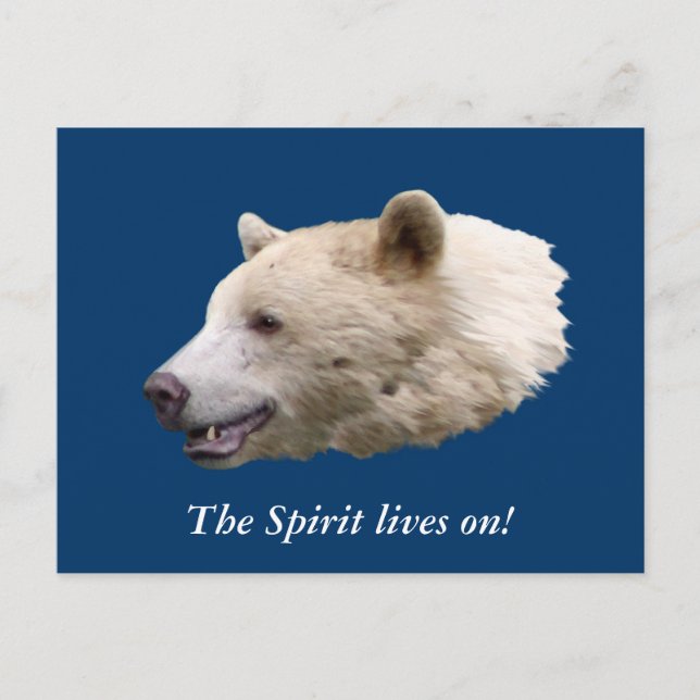 Geschenke "Spirit Bear" Postkarte (Vorderseite)