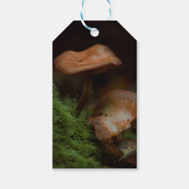 Geschenketiketten für Pilze Geschenkanhänger (Vorderseite)
