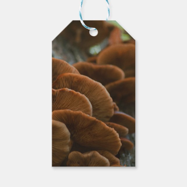 Geschenketiketten für Pilze Geschenkanhänger (Vorderseite)