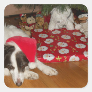 Geschenkgutachten Quadratischer Aufkleber