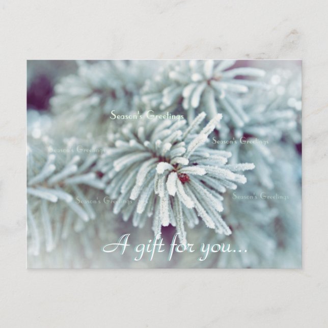 Geschenkgutschein "Frosty Pine Bough Holiday" Postkarte (Vorderseite)
