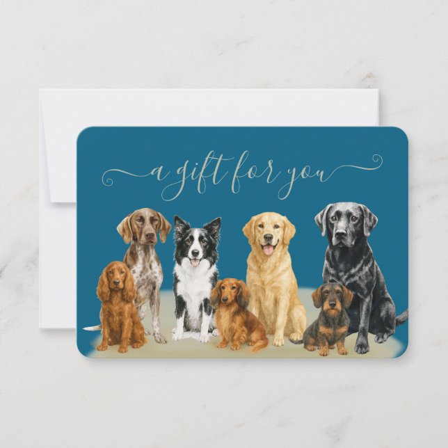 Geschenkgutschein für den blauen Hund Boarding (Vorderseite)