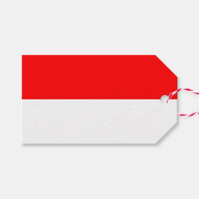 Geschenkmarke mit Flagge Indonesiens Geschenkanhänger (Vorderseite (Horizontal))