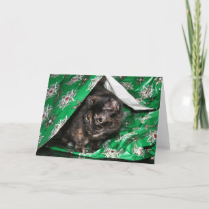 Geschenkpackung tortoiseshell feiertagskarte