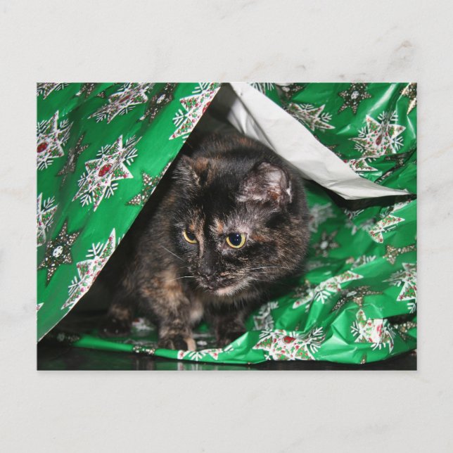 Geschenkpackung tortoiseshell postkarte (Vorderseite)
