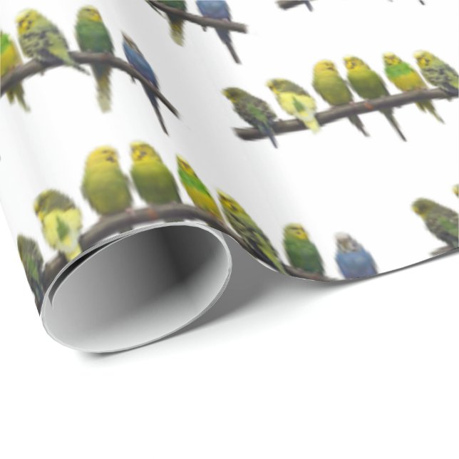 Geschenkpapier Außenseiter (Farbe wählen) (Rolleneckpunkt)