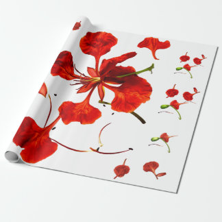 Geschenkpapier Royal Poinciana