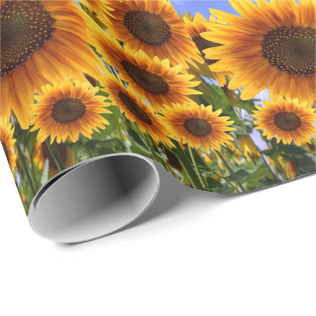 Geschenkpapier Sonnenblume (Rolleneckpunkt)