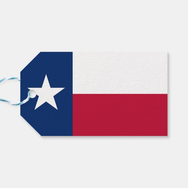 Geschenktafel mit Flag Texas Staat, USA Geschenkanhänger (Rückseite Horizontal)