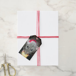 Geschenktafeln von Santa Dumbo Ratte (Packung mit  Geschenkanhänger