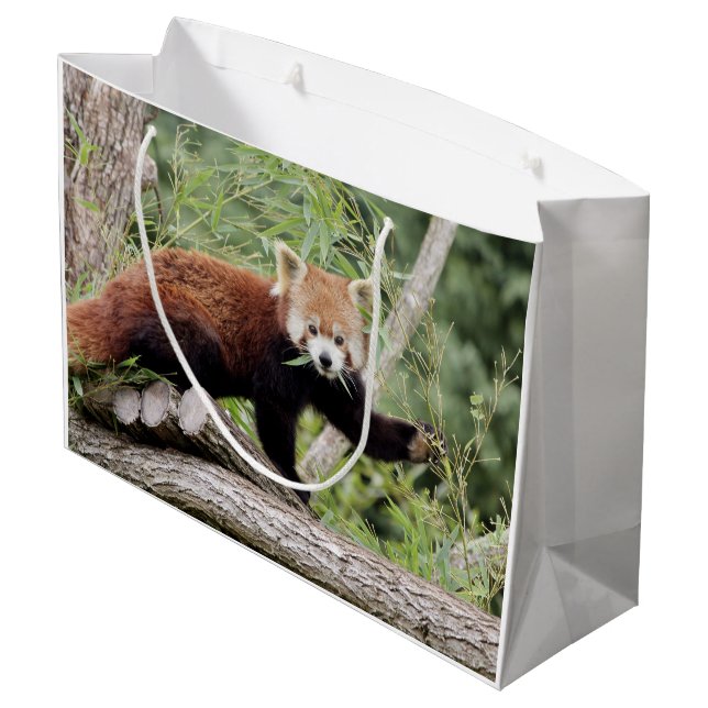 Geschenktasche Foto rot Panda , Tiere 0271. Große Geschenktüte (Rückseite Schrägansicht)