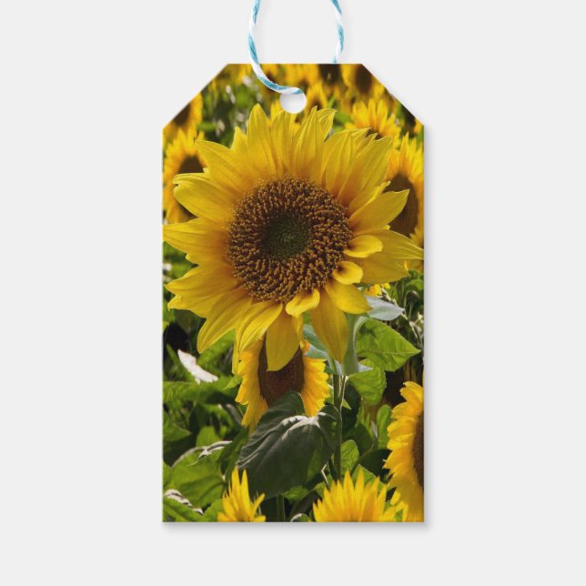 Geschenktaschen Sonnenblumen Geschenkanhänger (Vorderseite)