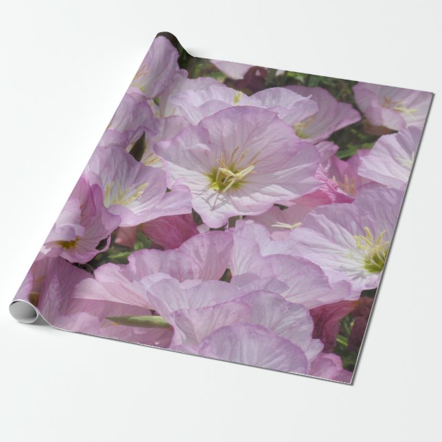 Geschenkverpackung - Primel Geschenkpapier (Ungerollt)