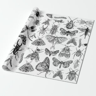 Geschenkwrap für das Entomologiepapier Geschenkpapier
