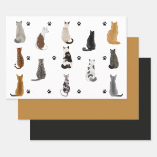 Geschenkwrap für niedliche Katzen und Paws mit Mat Geschenkpapier Set
