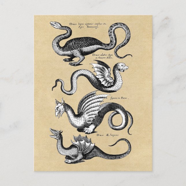Geschichte der Drachen Sepia Postkarte (Vorderseite)
