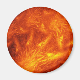Geschichte des Leiters viele Sonnen Magnet